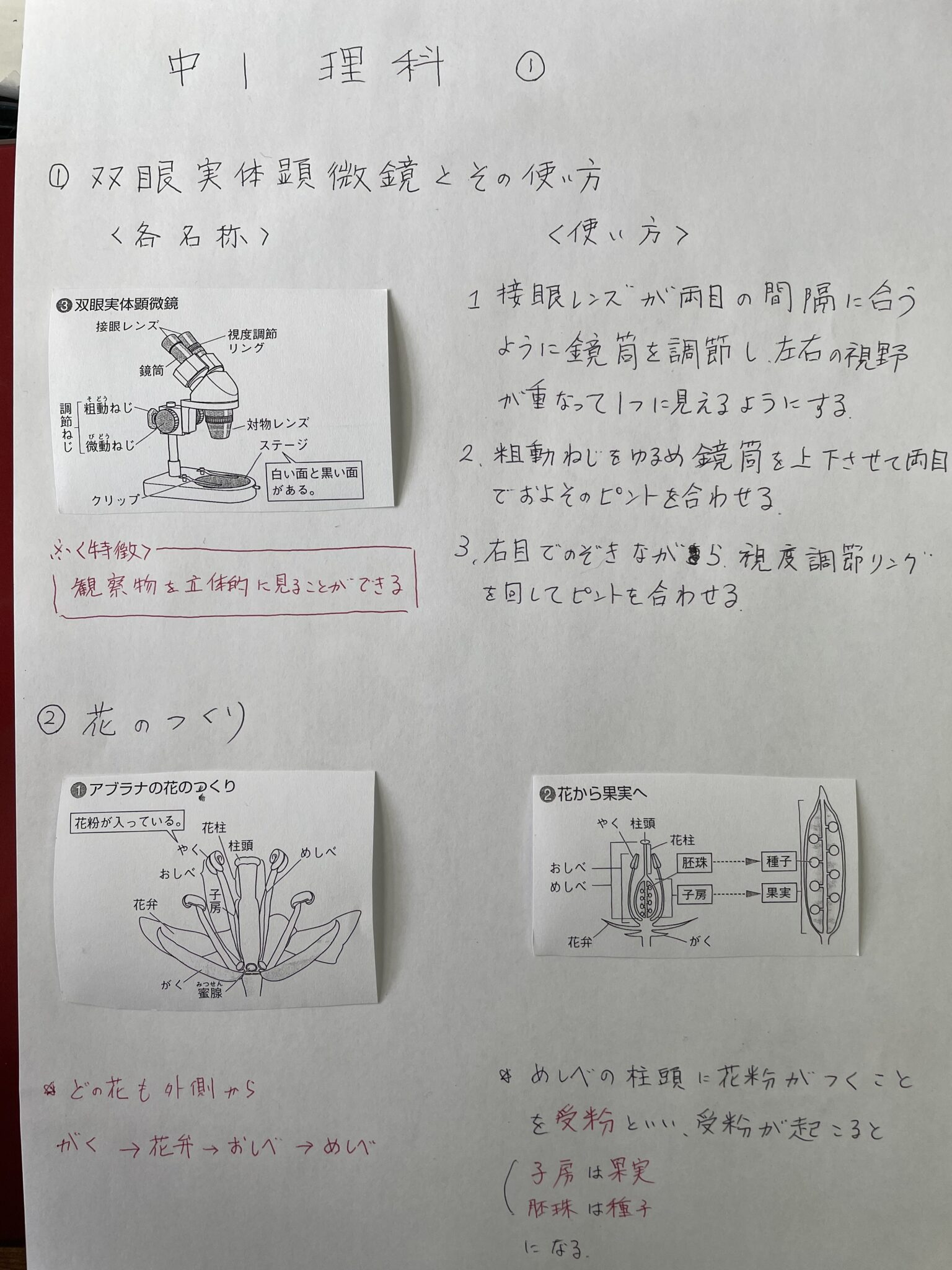 7/24 夏期講習　中1 理科　復習